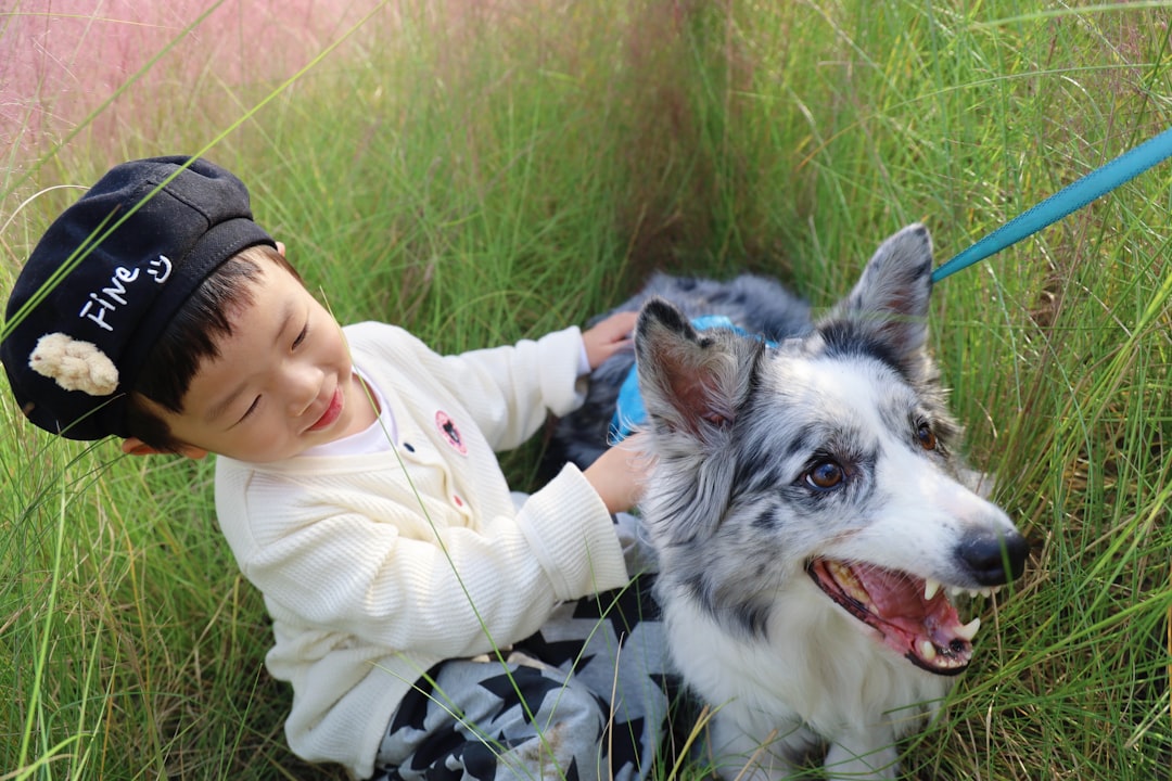 警察犬