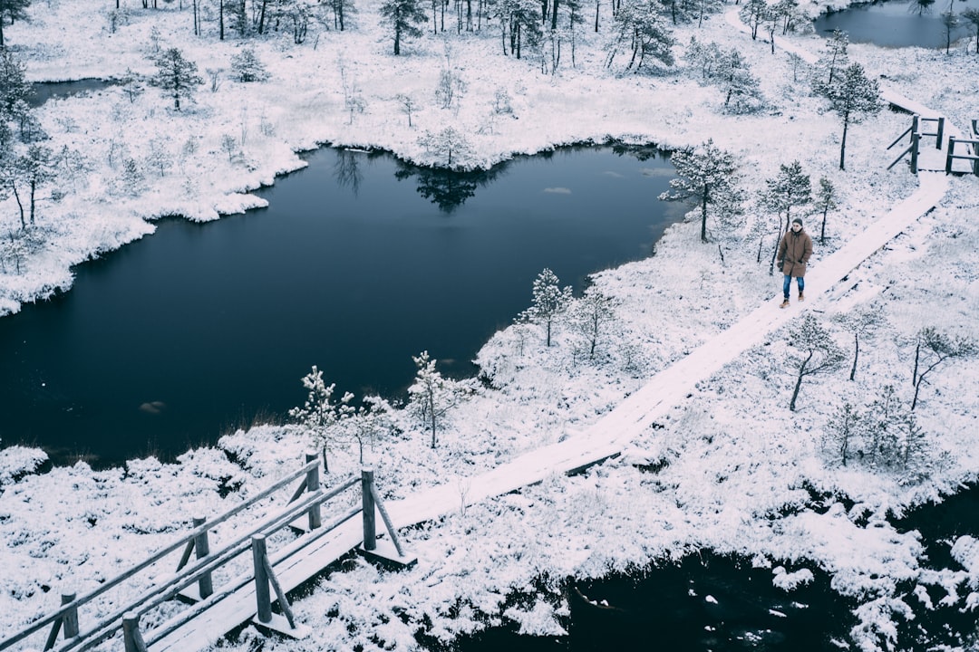 snow man save your heart
