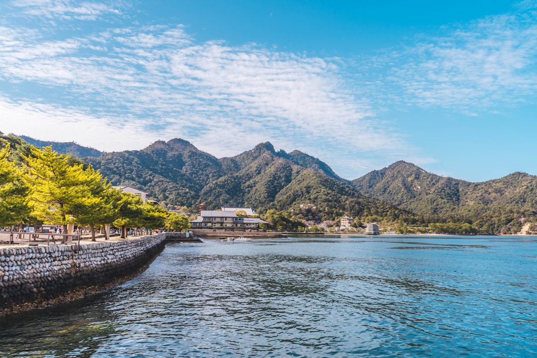 広島 対 中日