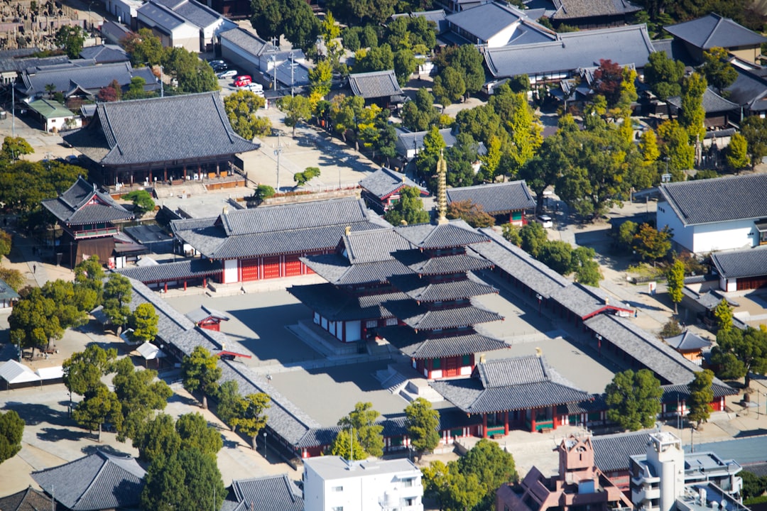 岡本多緒