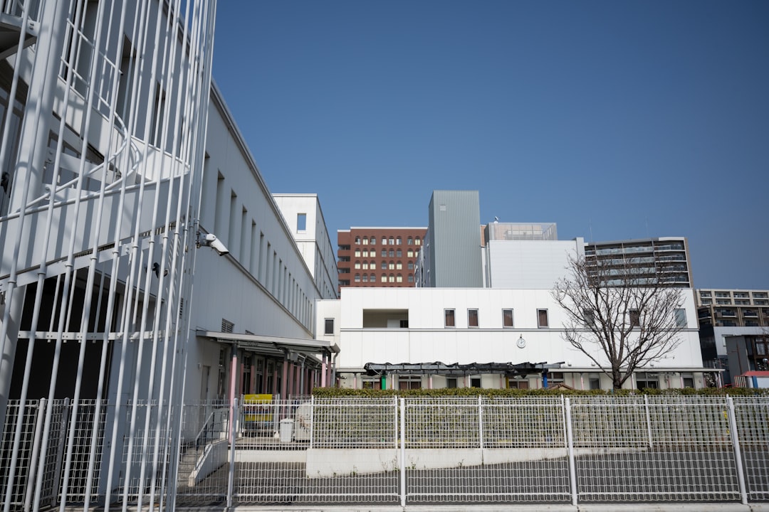 桐蔭 学園