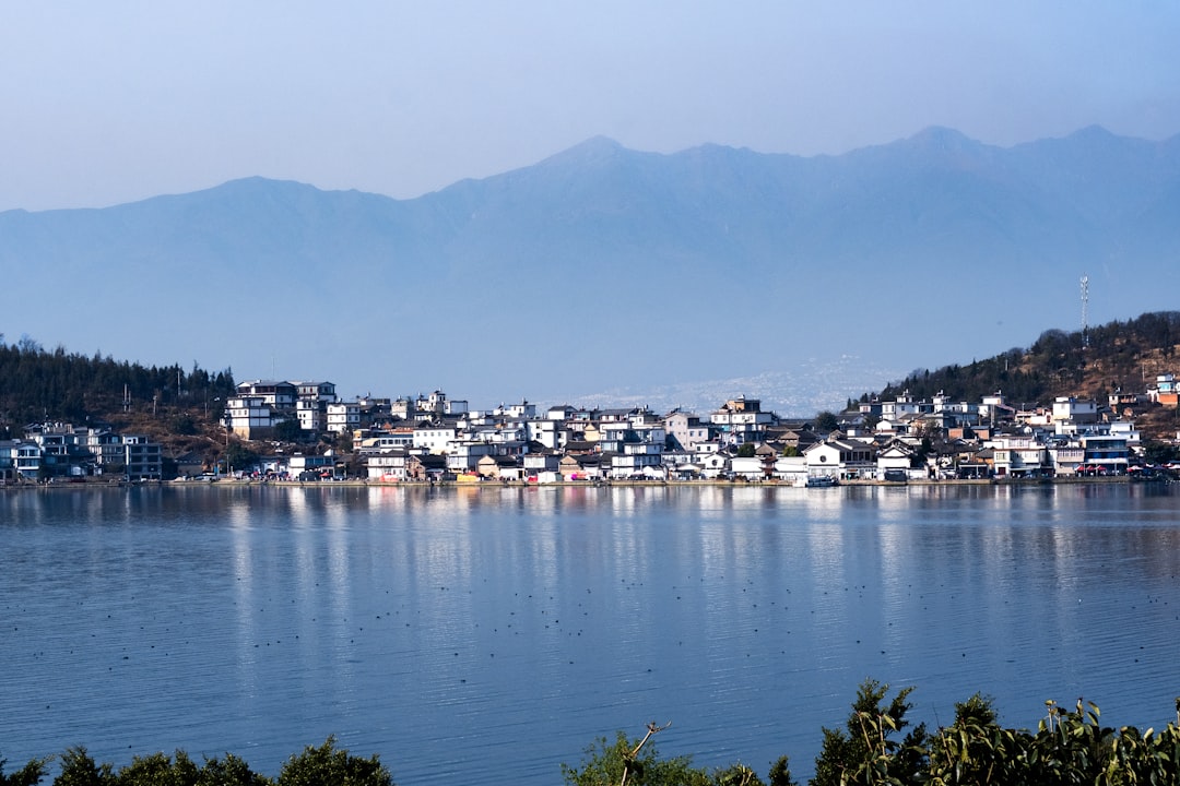 岡本多緒