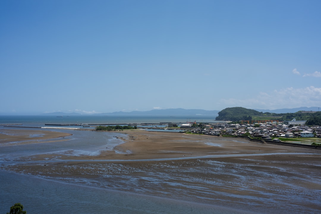 中村里砂