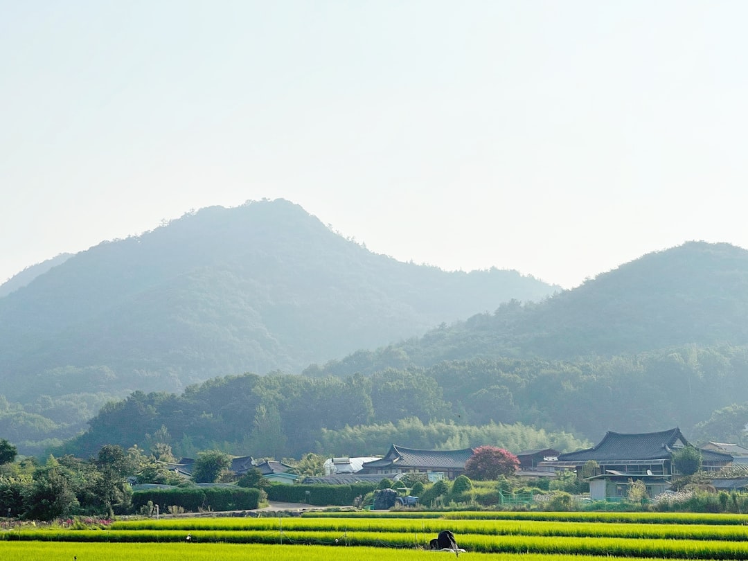 高市早苗