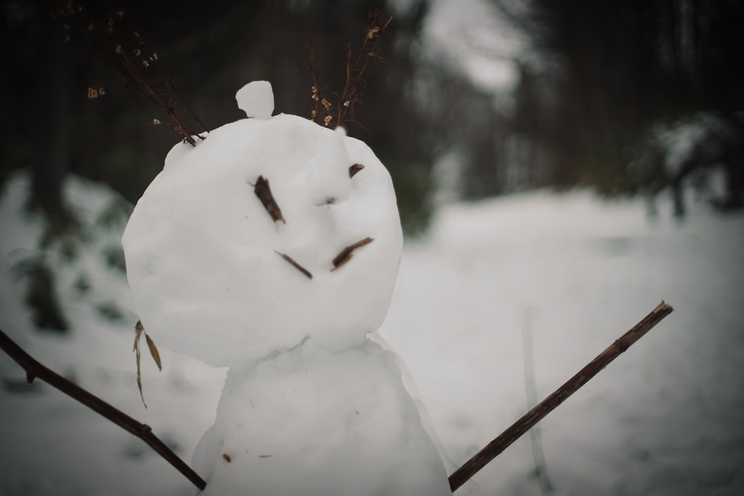snow man save your heart