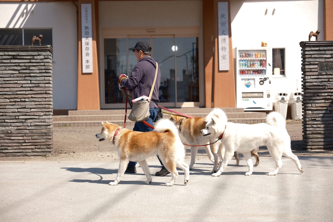 警察犬