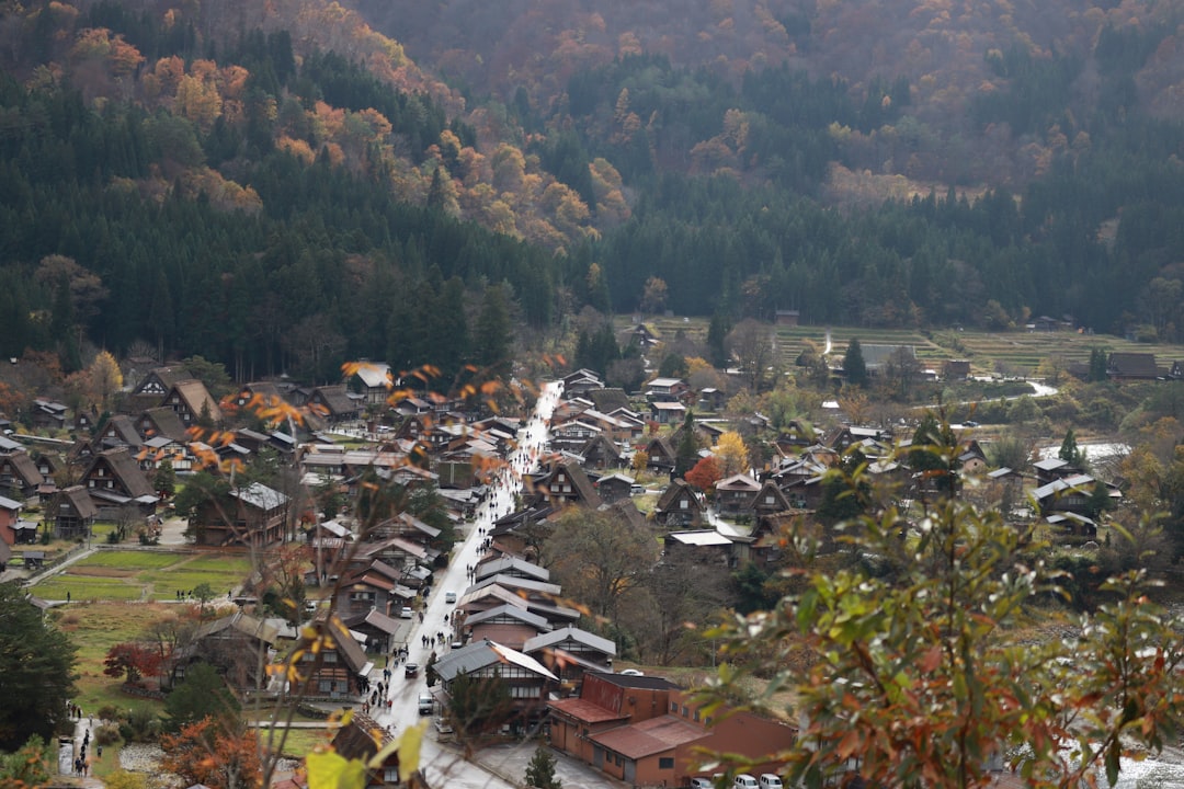 岡本多緒