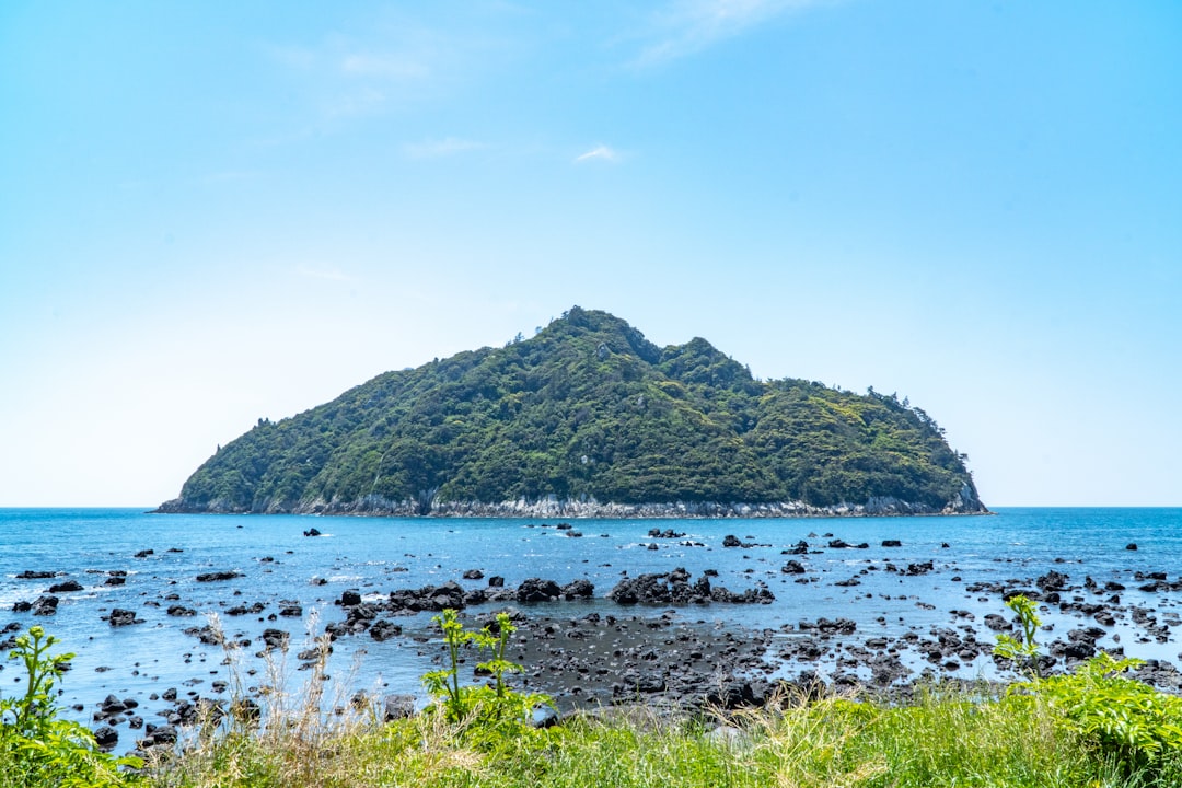 尾島紘平