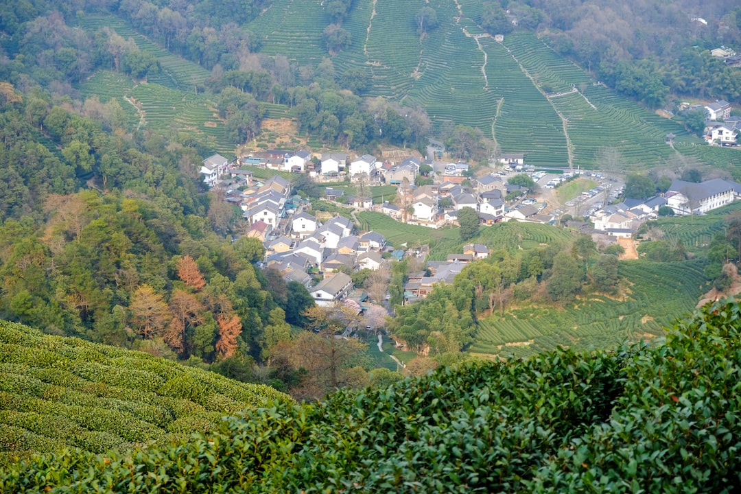 高市早苗