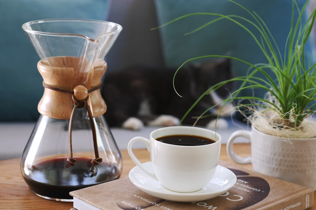 コーヒーメーカー 一人暮らし おすすめ
