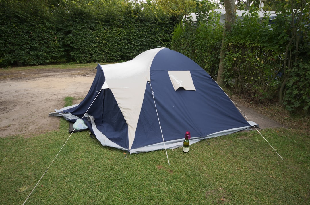 キャンプ 初心者 必要なもの おすすめセット
