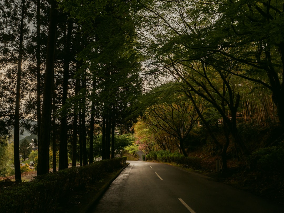 大野 智