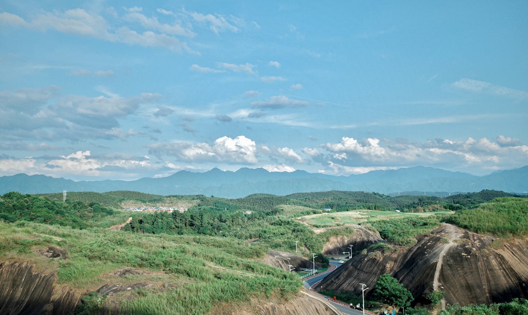 サバンナ 高橋 中山 功太