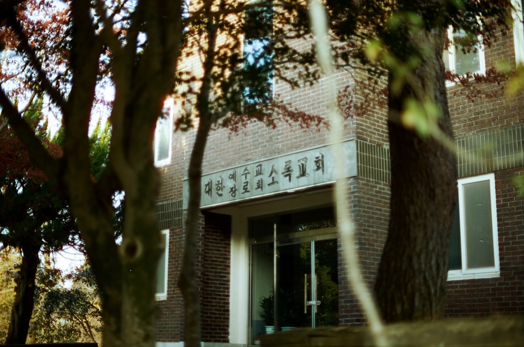 桐蔭 学園