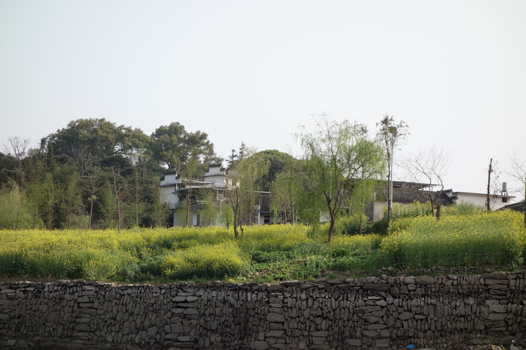 高市早苗