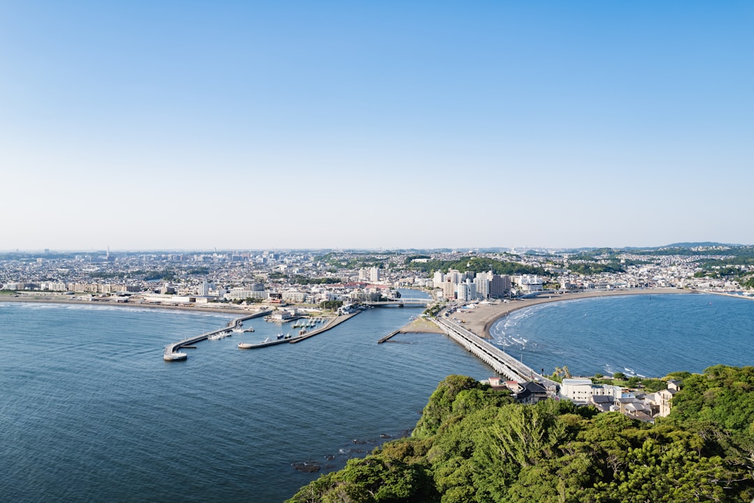 岡本多緒