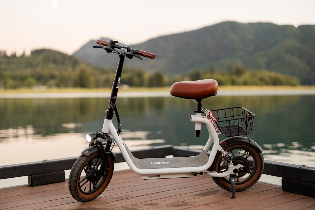電動自転車 購入前 確認すること おすすめ