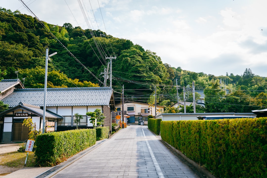 岡本多緒