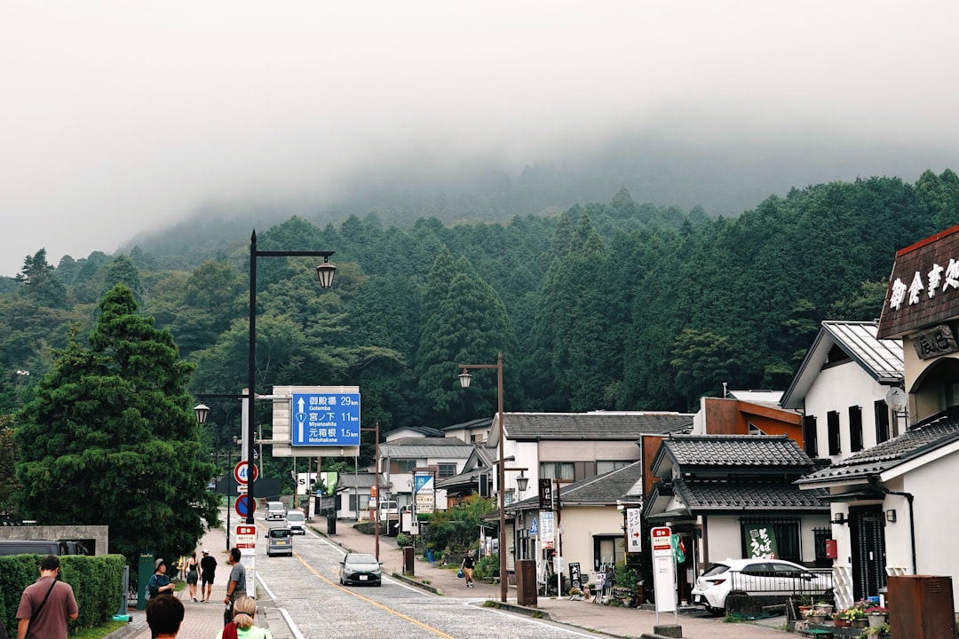 七瀬葵