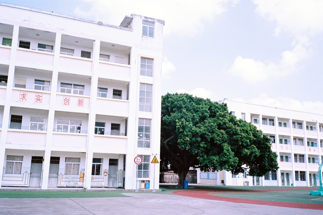 桐蔭 学園