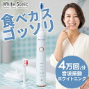【電動歯ブラシ】 音波歯ブラシ ホワイトソニック 音波振動歯ブラシ White Sonic ホワイト・ソニック ホワイトニング 充電式 TB9071A 音波振動で美しい歯へ！ デンタルケア 美容家電 ★