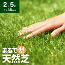 人工芝 ロール 2m×5m 芝丈35mm 高密度44万本／m2 芝生マット 人工芝生 人工芝マット 人工芝ロール 芝生 ロールタイプ 固定ピン 庭 ベランダ テラス バルコニー ガーデニング ガーデン 屋上緑化 u字ピン 水はけ