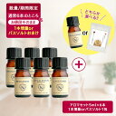 【今だけ1個増量orバスソルトおまけ付き】アロマオイル エッセンシャルオイル 選べる 精油 各5ml×6本 セット 【送料無料】 ラベンダー オレンジ ユーカリ グレープフルーツ ハッカ AEAJ認定 天然 ティートゥリー アロマストーン アロマディフューザー s1