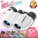 【全品10％OFFクーポン！3日20時〜】＼ライブにおすすめ／ 双眼鏡 目当て 10倍 推し活 コンサート ライブ 軽量 コンパクト スポーツ観戦 観劇 宝塚 望遠鏡 眼鏡対応 バードウォッチング 舞台 ストラップ 倍率 野鳥 オススメ カジュアル かわいい アイドル