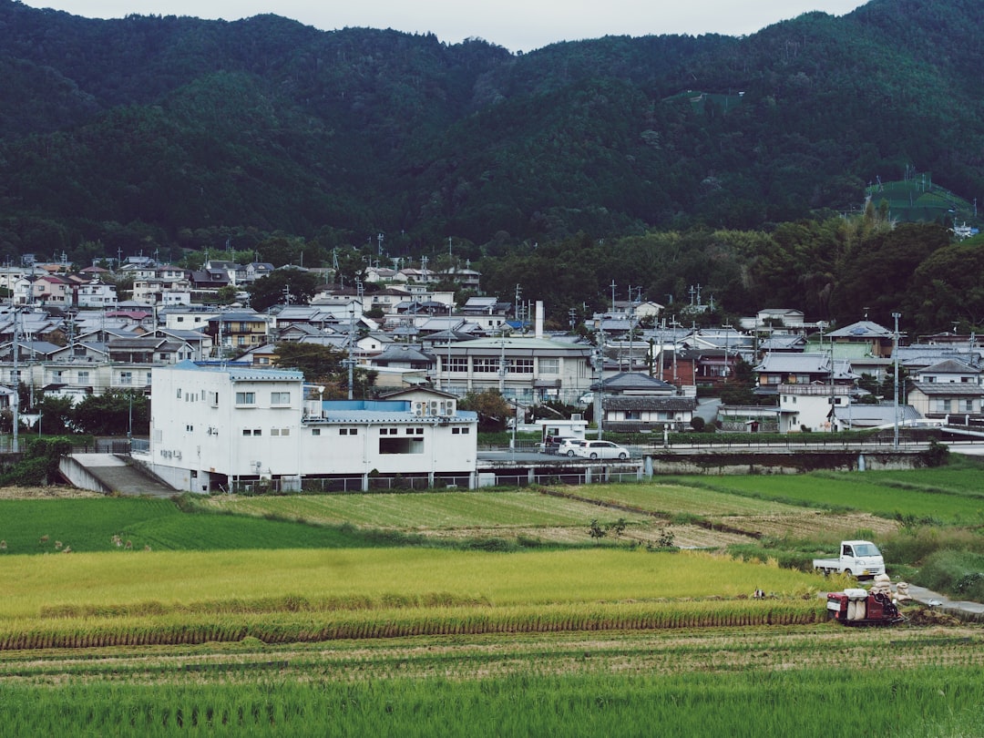 河野洋平