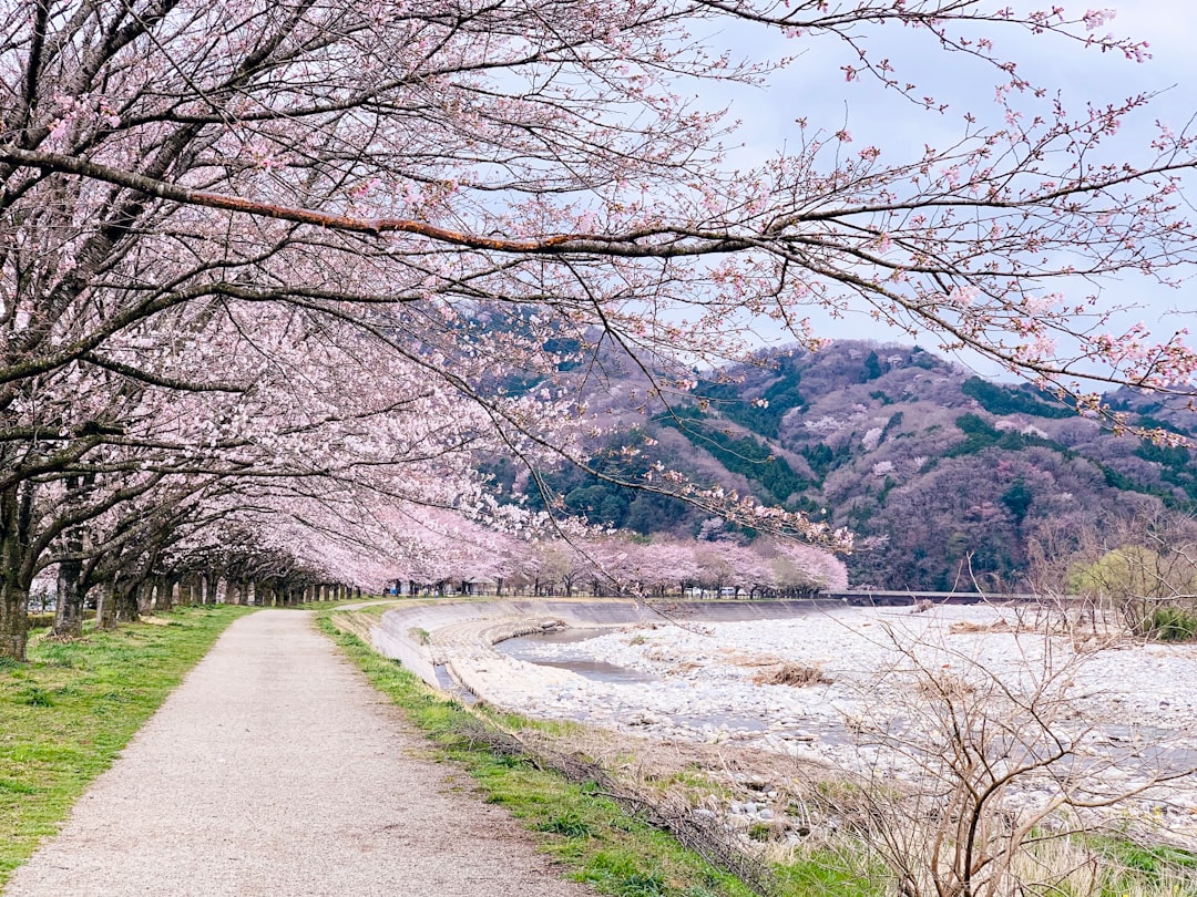 日本