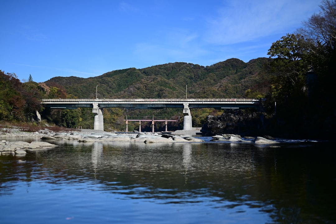 滝野川第三小学校