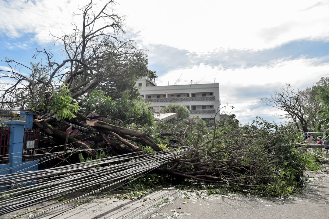 最大震度5弱の地震