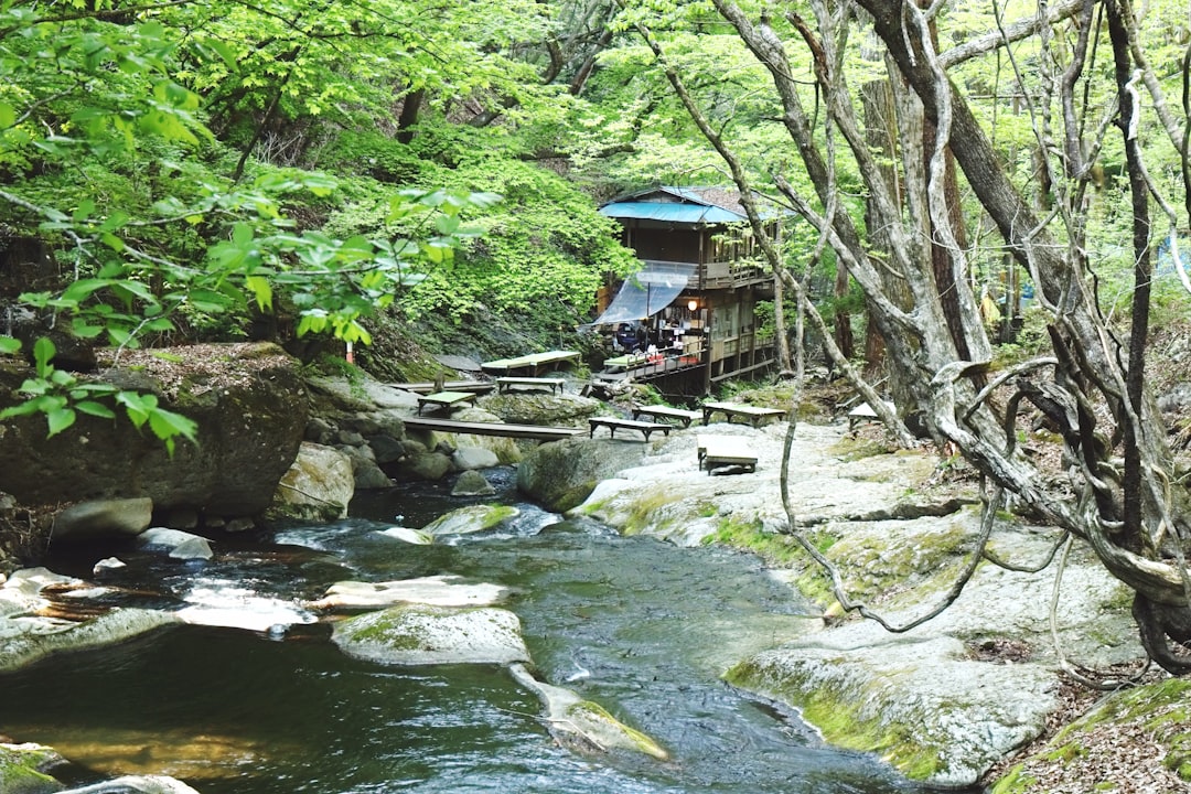 滝野川第三小学校
