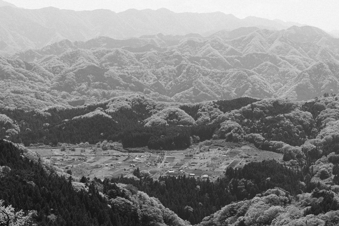 河野洋平