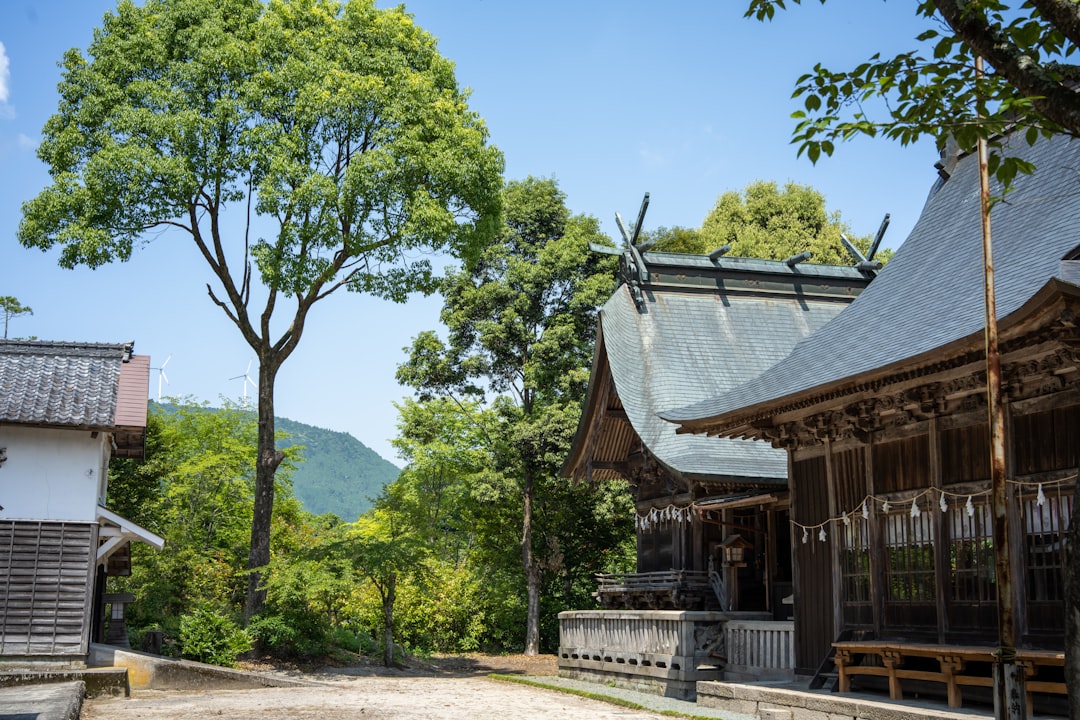 田中かえ