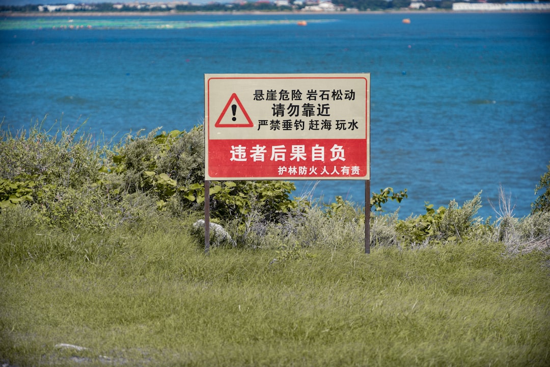 全般台風情報、台風第8号