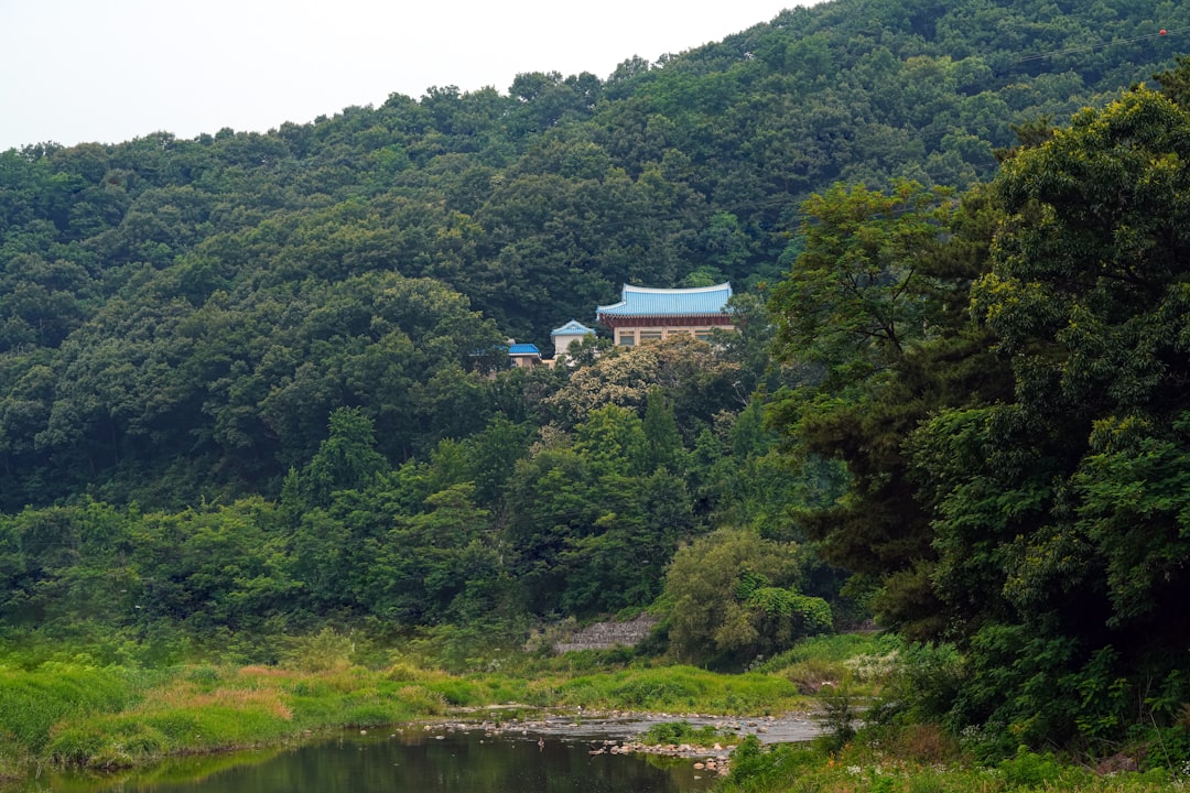 河野洋平