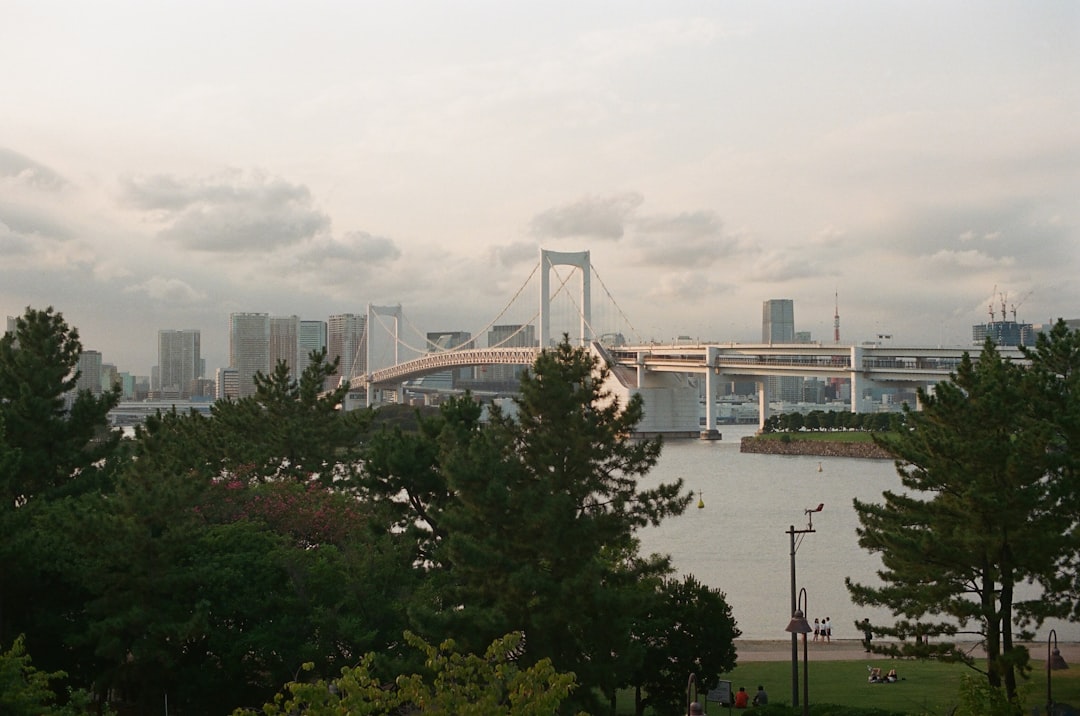 広島 対 阪神