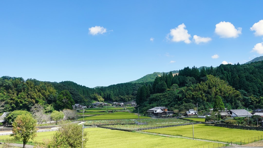 谷原七音