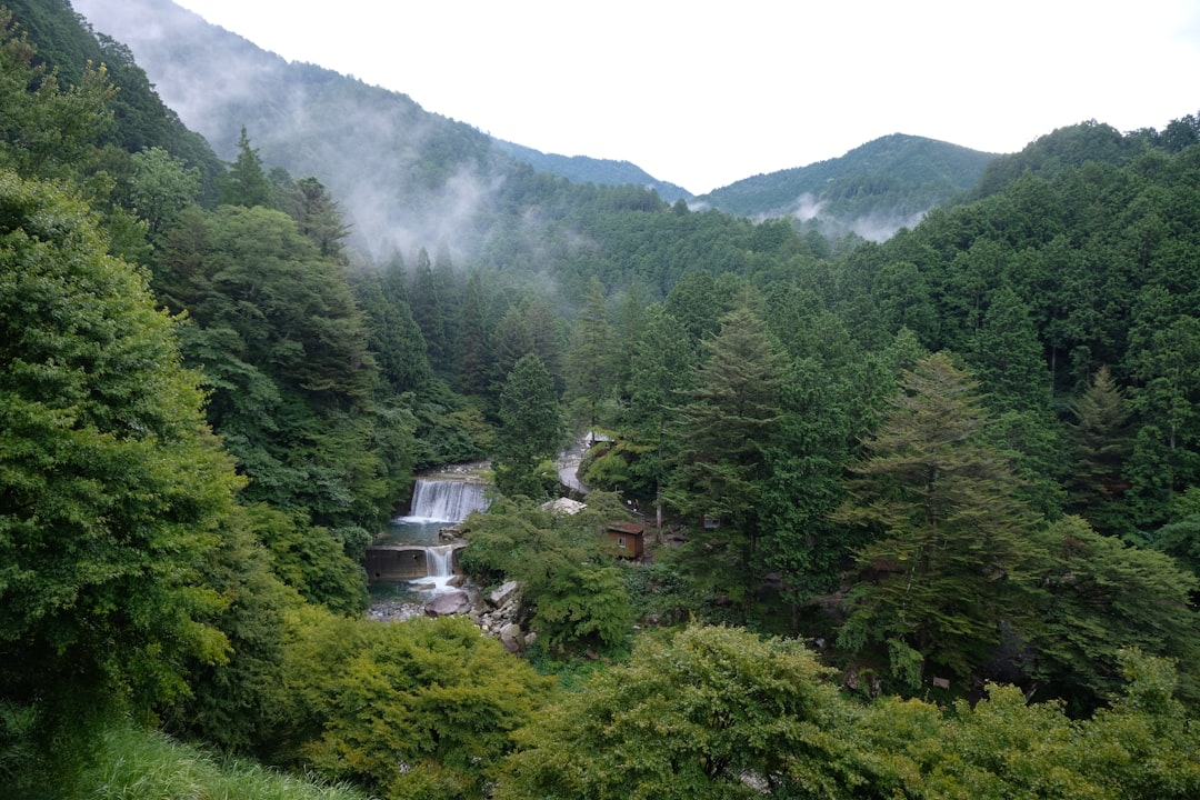 滝野川第三小学校