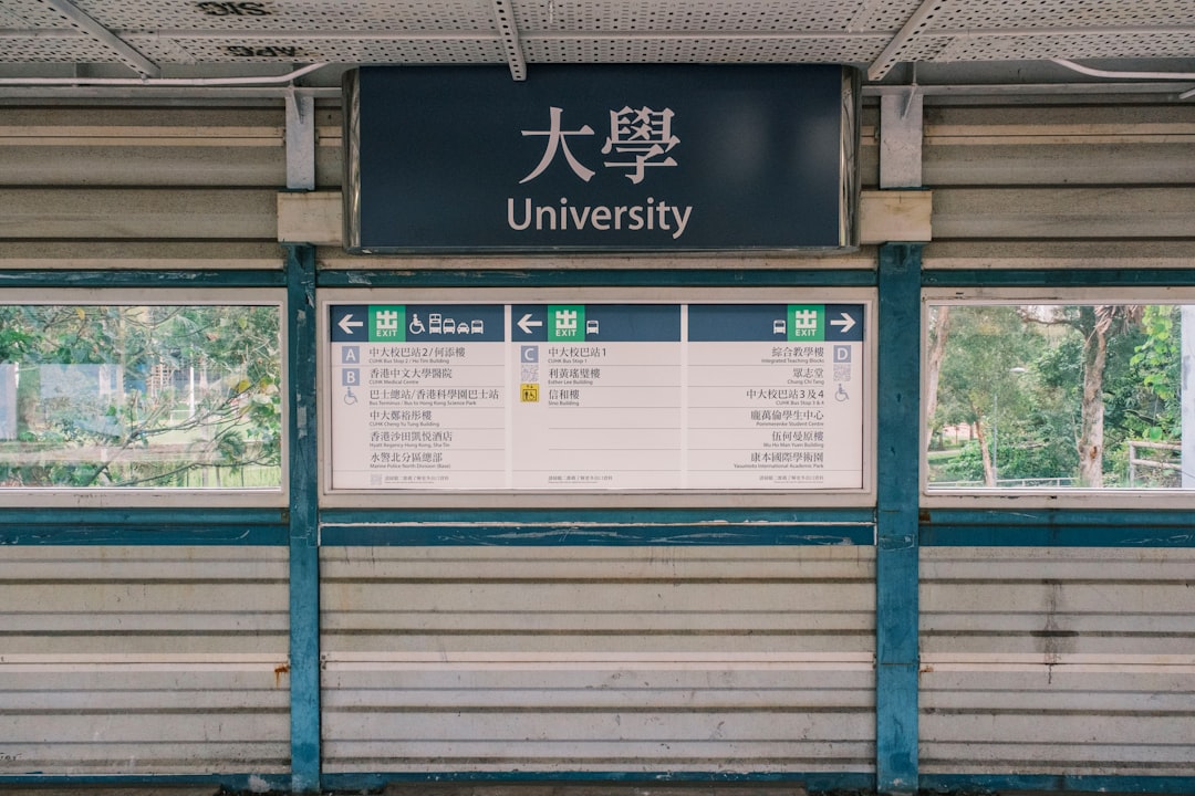 大学生 必需品 おすすめ 安い