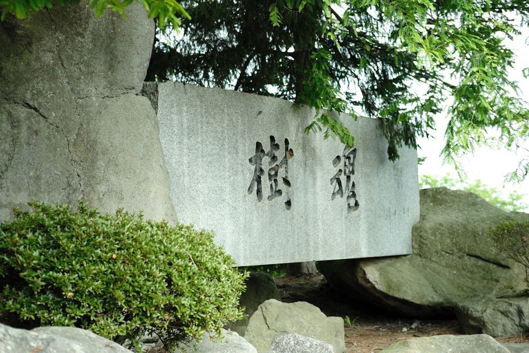 長尾謙杜