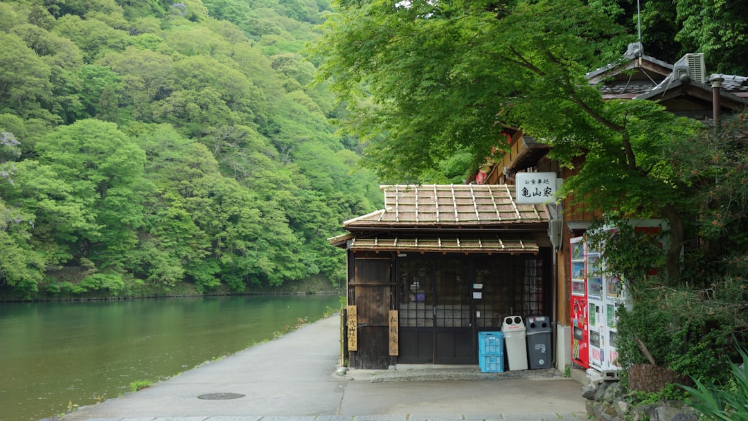 河野洋平