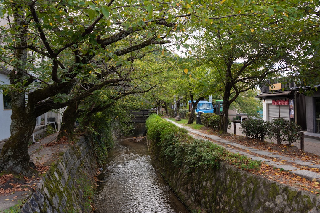 滝野川第三小学校