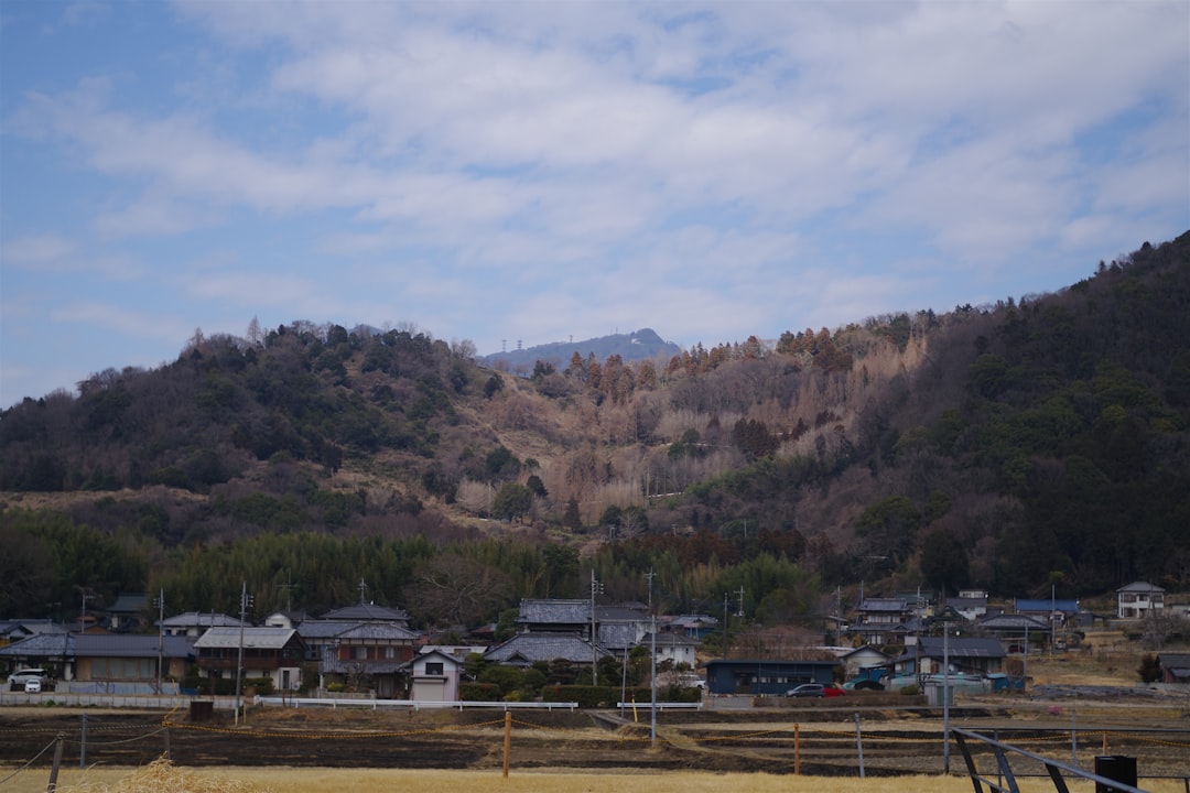 片山友希