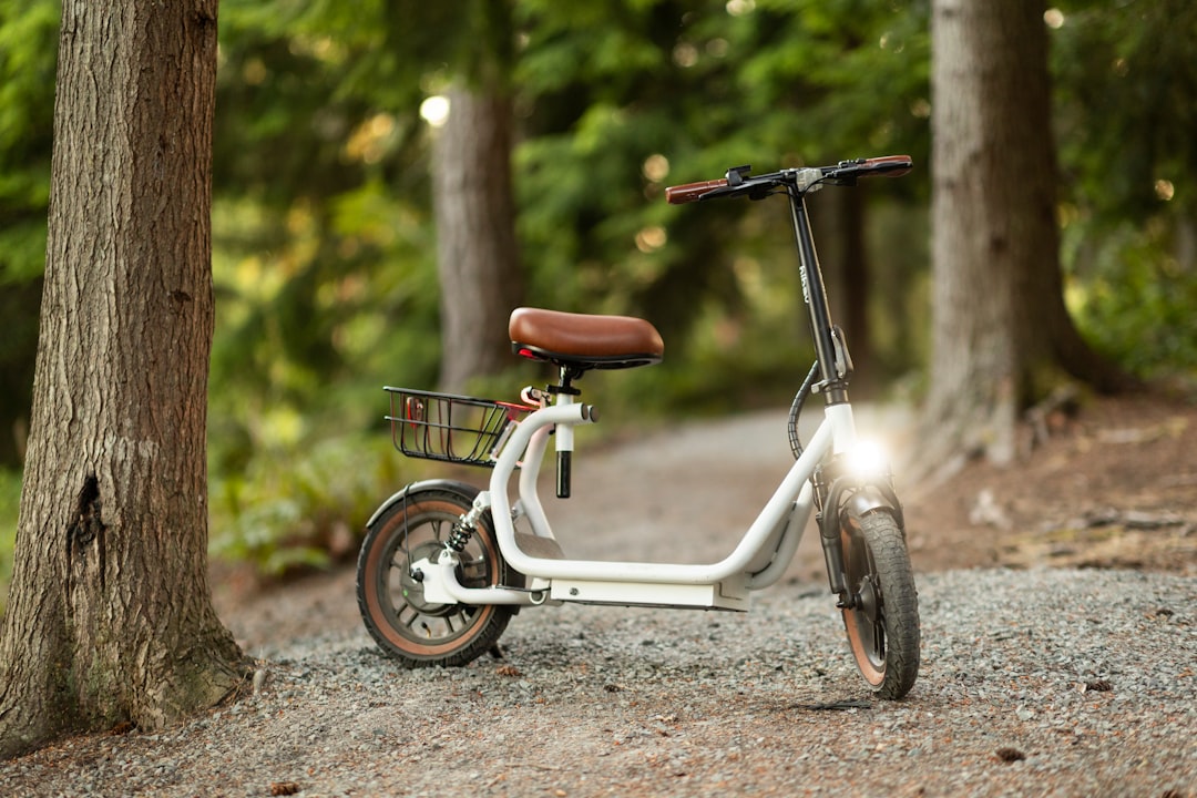 電動自転車 購入前 確認すること おすすめ