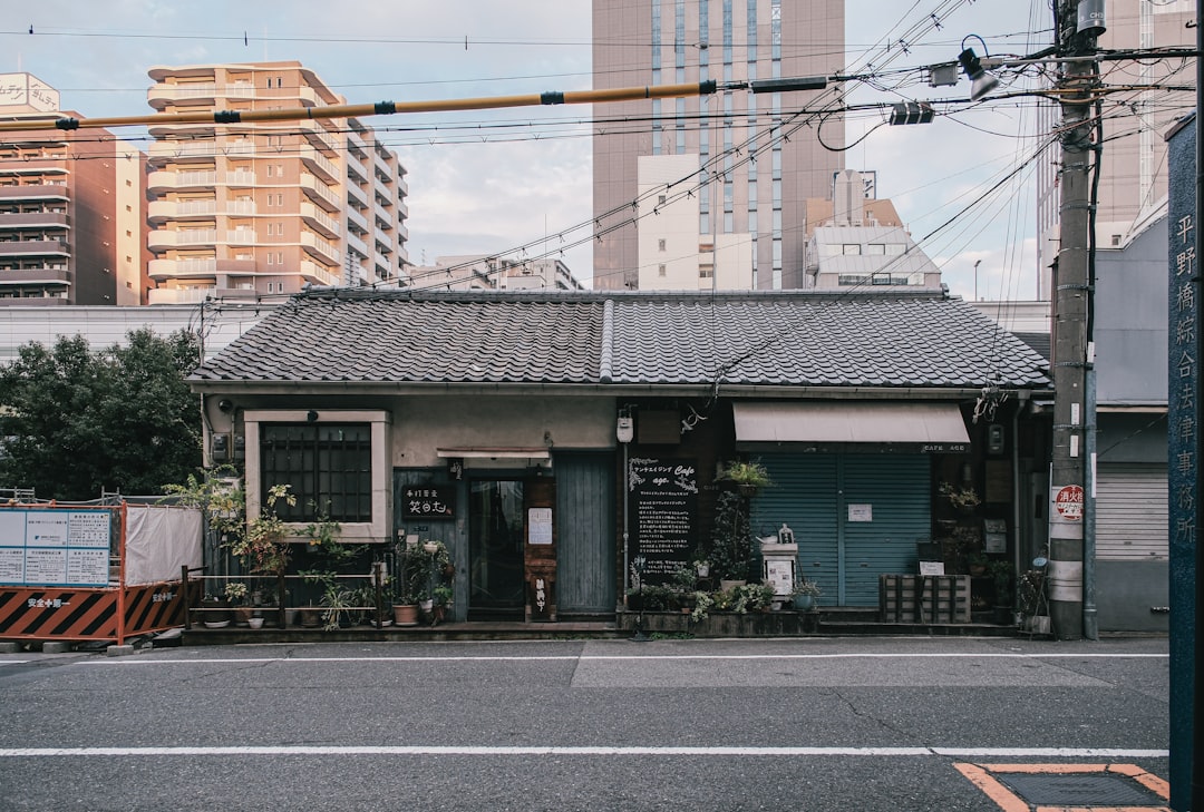 メッシ