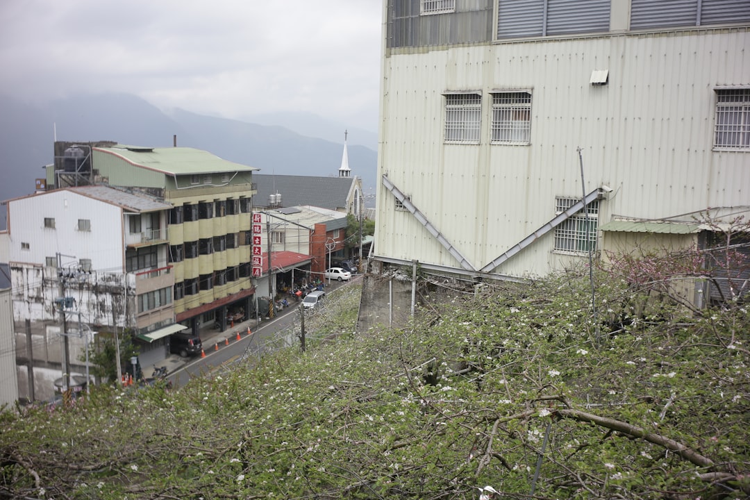最大震度5弱の地震