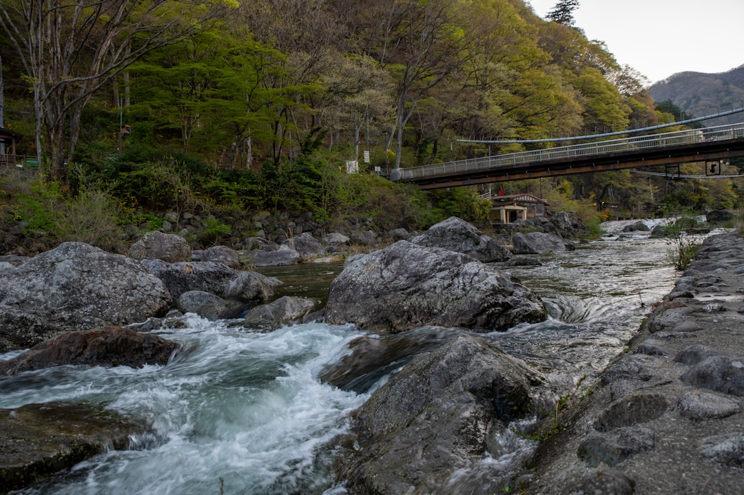 滝野川第三小学校