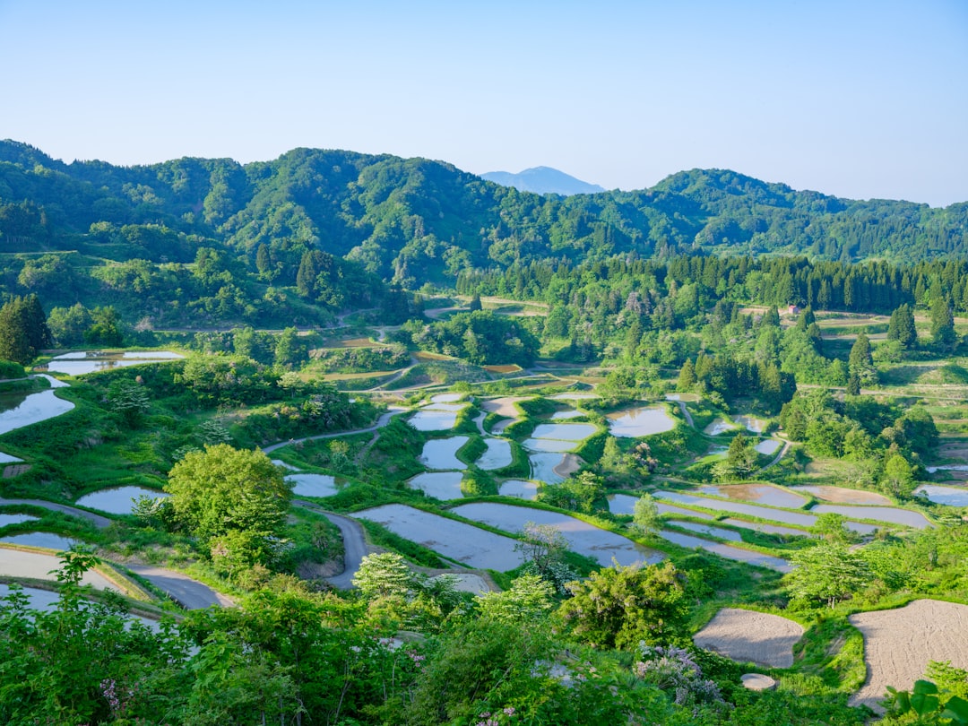 岩澤 実 育